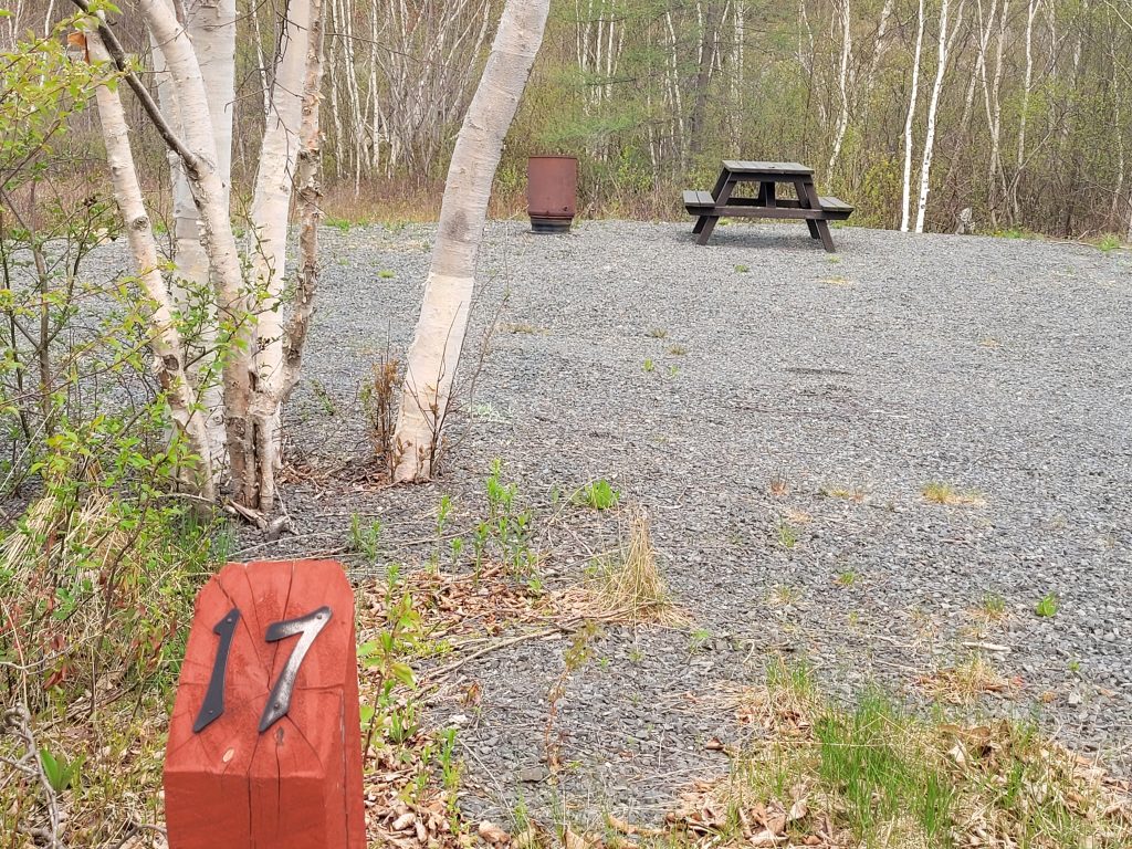 Badger Lake Resort Site 5