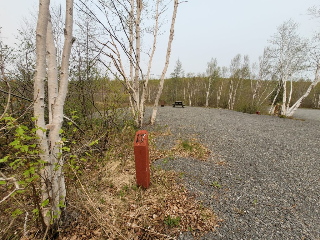 Badger Lake Resort Site 5