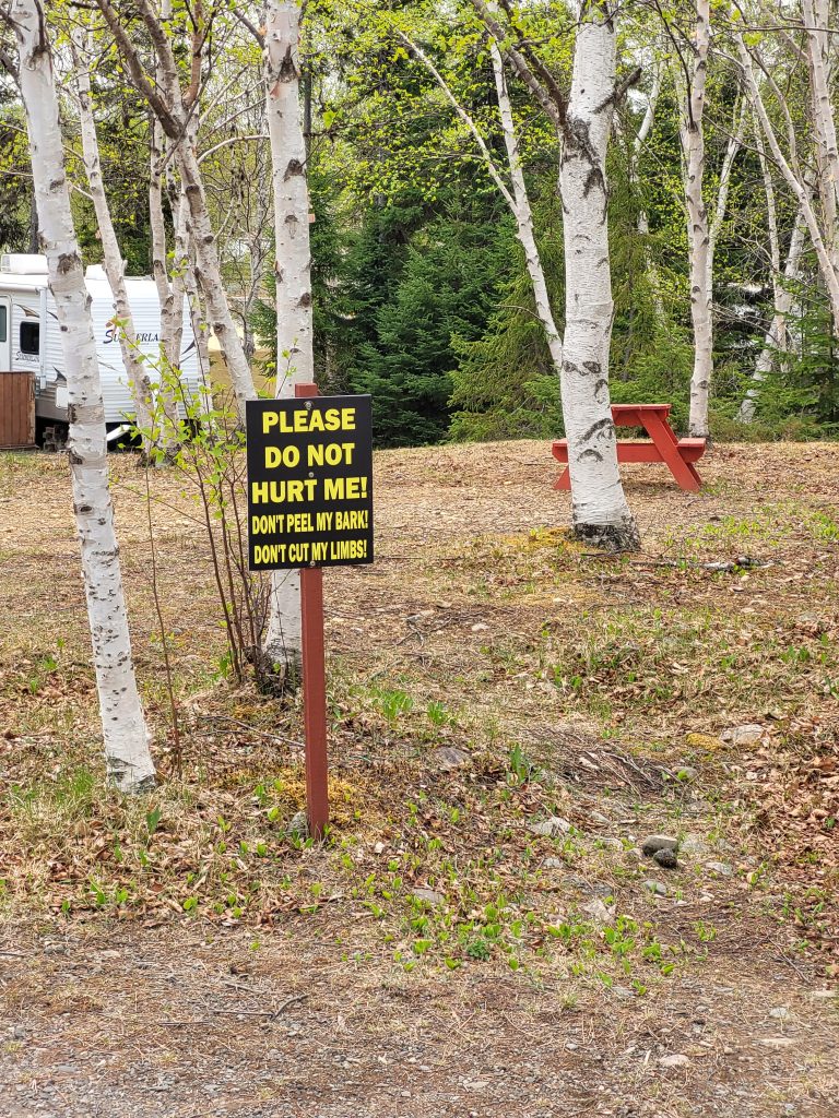 Catamaran Park askes patrons not to peel bark off trees.
